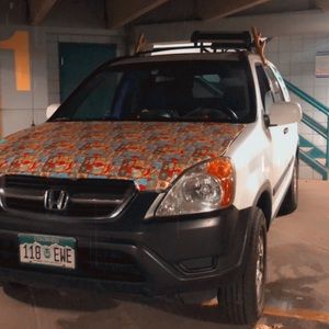 Meet your Posher, Kalli